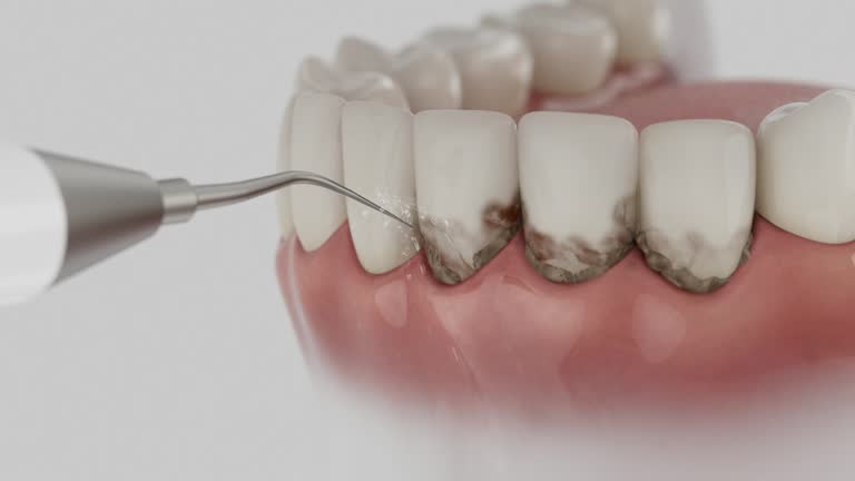 Reliable Dental contractor in Forney, TX by Dentist Open Now